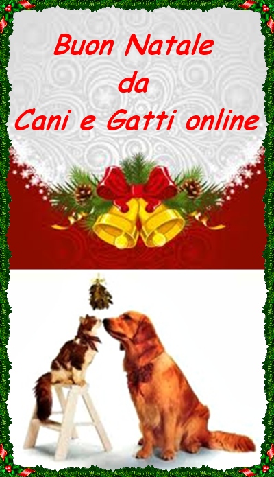 Buon Natale Cani e Gatti online